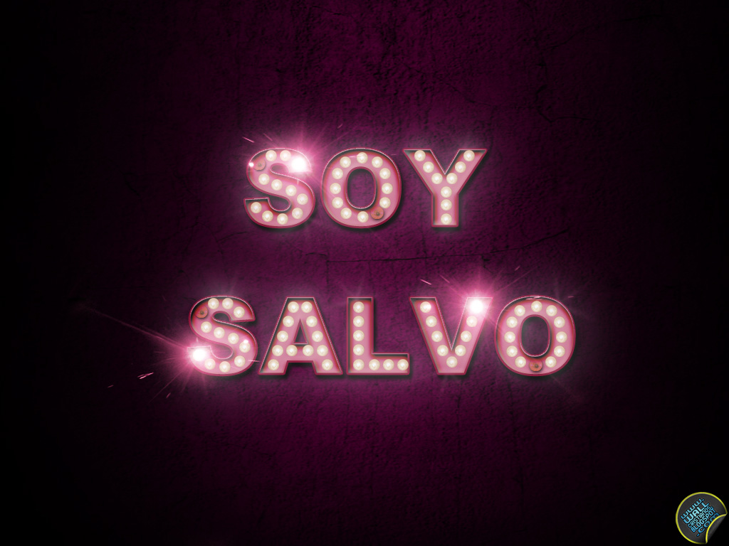 http://2.bp.blogspot.com/-UYTDl-dLkwA/Tb8D9Z286WI/AAAAAAAAA4I/e09b6X0niSs/s1600-d/SOY+SALVO.jpg