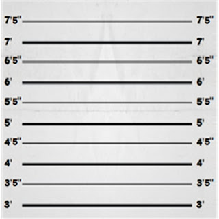 the gallery for gt mugshot sign template blank mugshot height chart
