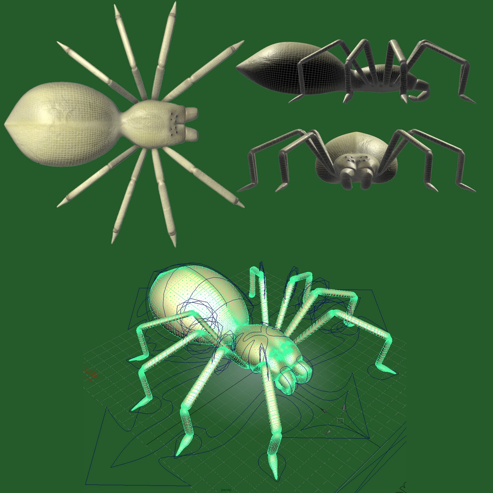 Spider_Wireframe_Collage.jpg
