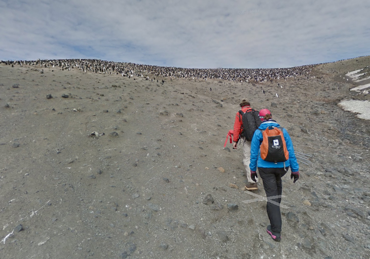 Antarctica homework help