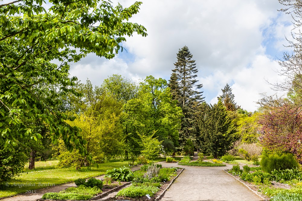 Botanischer Garten der Universität in Rostock