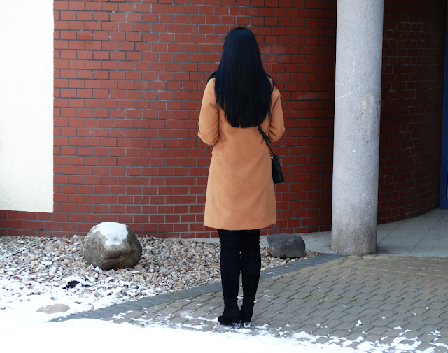 DSC06734.png