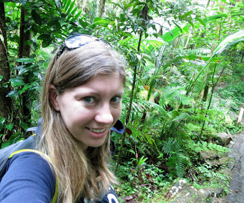 Exploring the El Yunique Rainforest in Puerto Rico