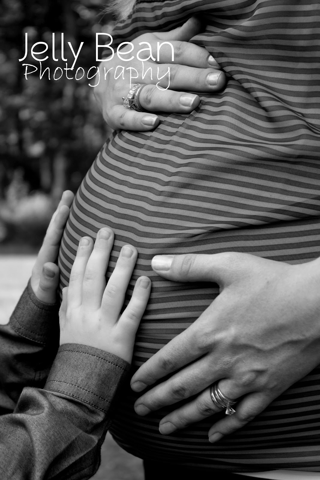 Jelly Bean Photography Gallery