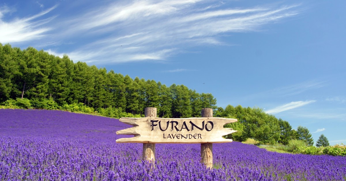 Hokkaido Tour Hokkaido Tour Package 2012