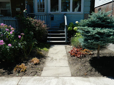 Leslieville front garden cleanup after Paul Jung Gardening Services Toronto