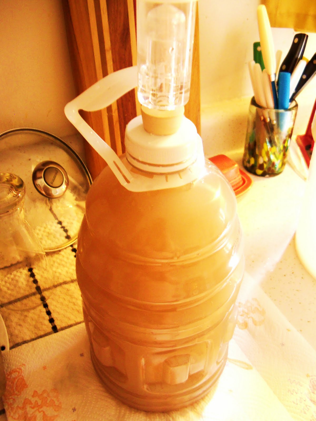 The Winemaker's Notebook Banana Wine