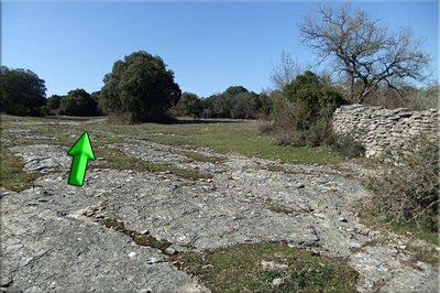 Seguimos el camino de la derecha