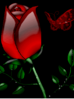 imagenes d rosas rojas animadas Mejores Imágenes