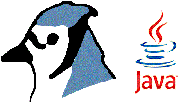 bluej logo