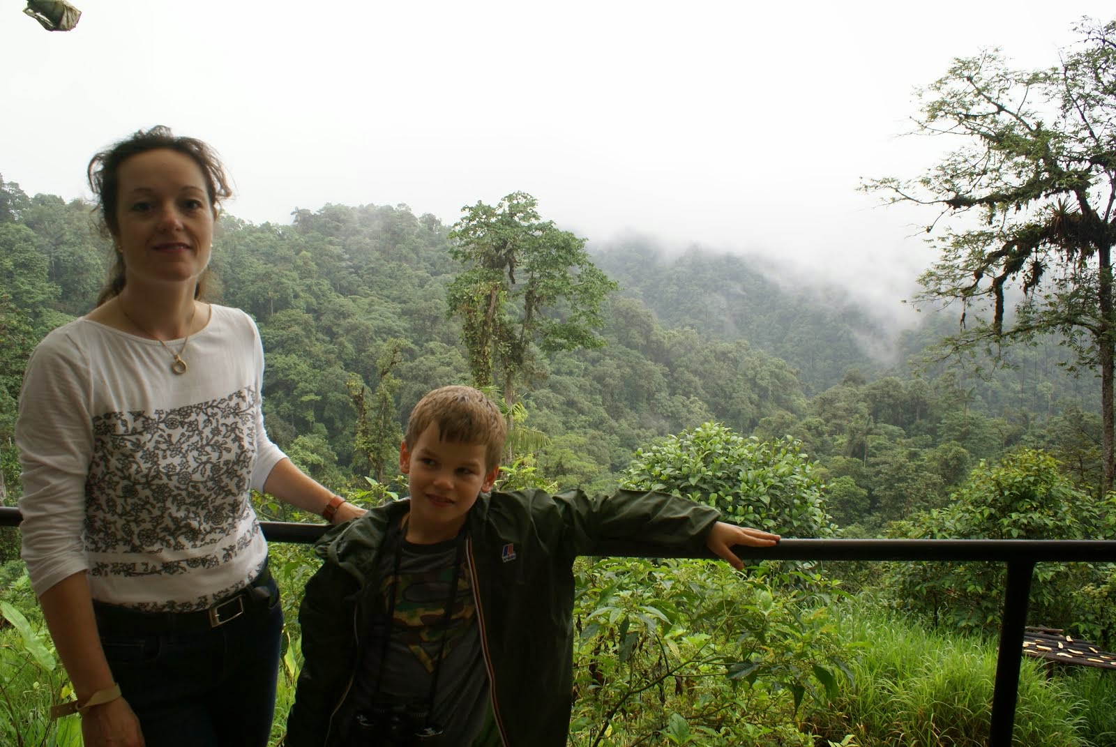 In de cloud forest