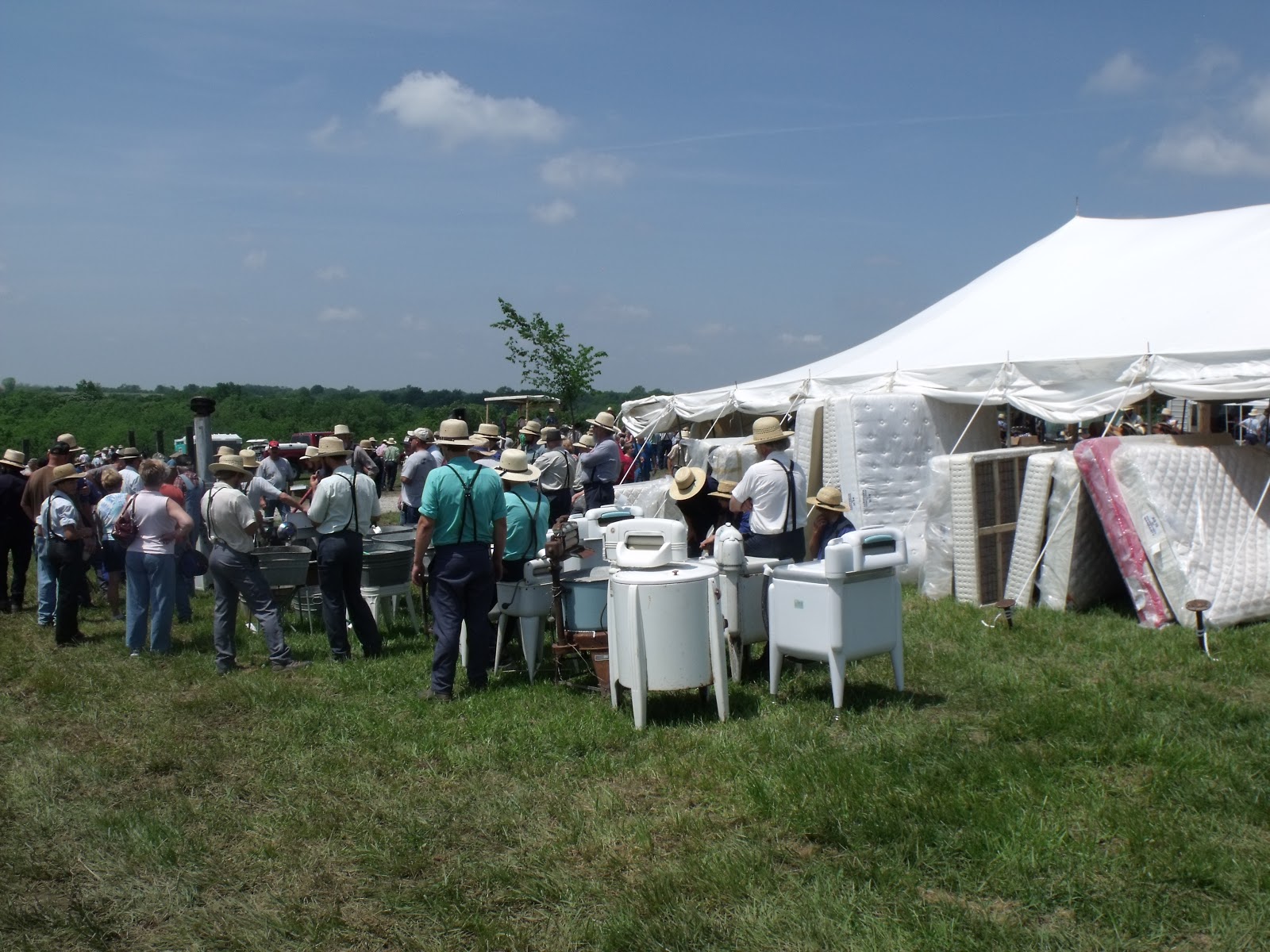 Seriously? Amish Consignment Auction