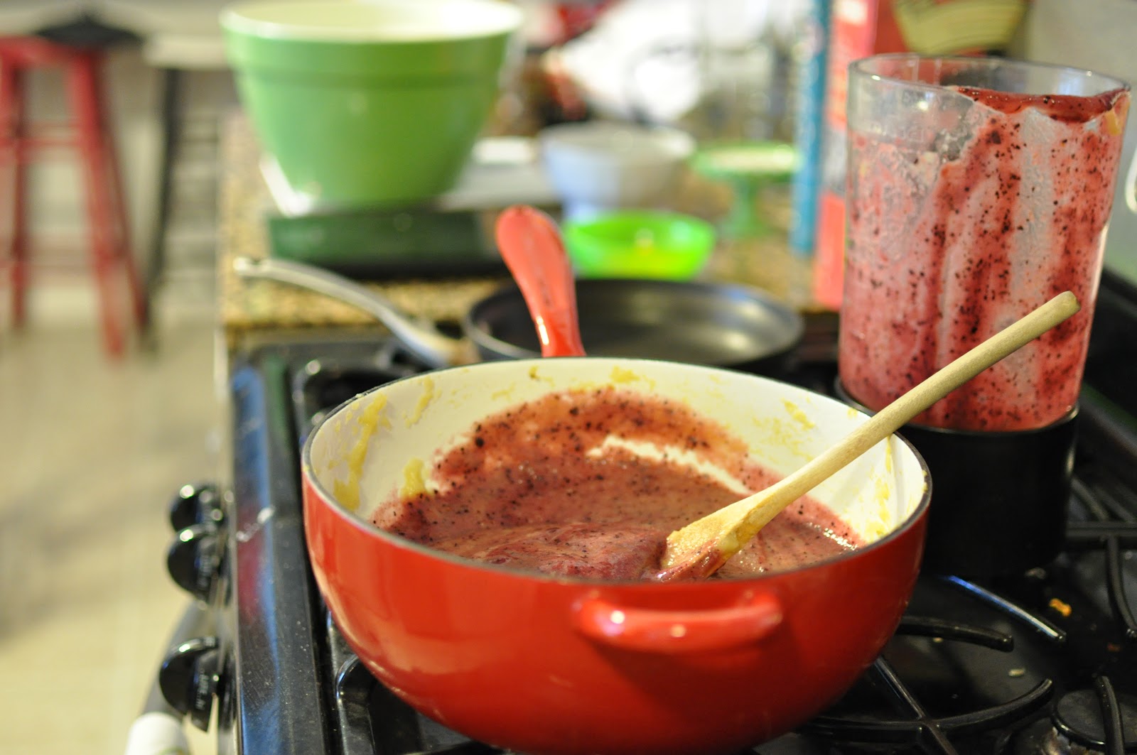 Domestic Fashionista Homemade Apple Sauce and Dehydrated Fruit Roll Ups