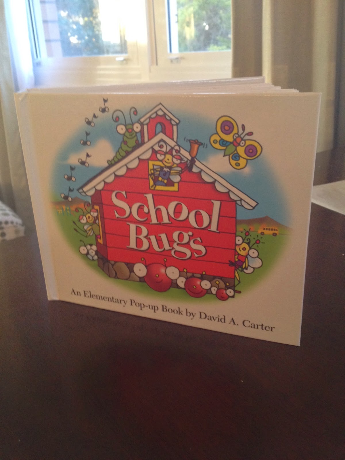 School Bugs From the Pond