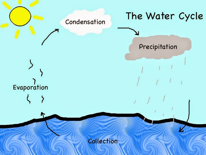 English Buddies ESL Water cycle game