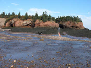 Bay of Fundy, New Brunswick