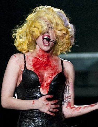 cat lady news on ... the family cat to wear it s blood to a lady gaga concert a lady gaga