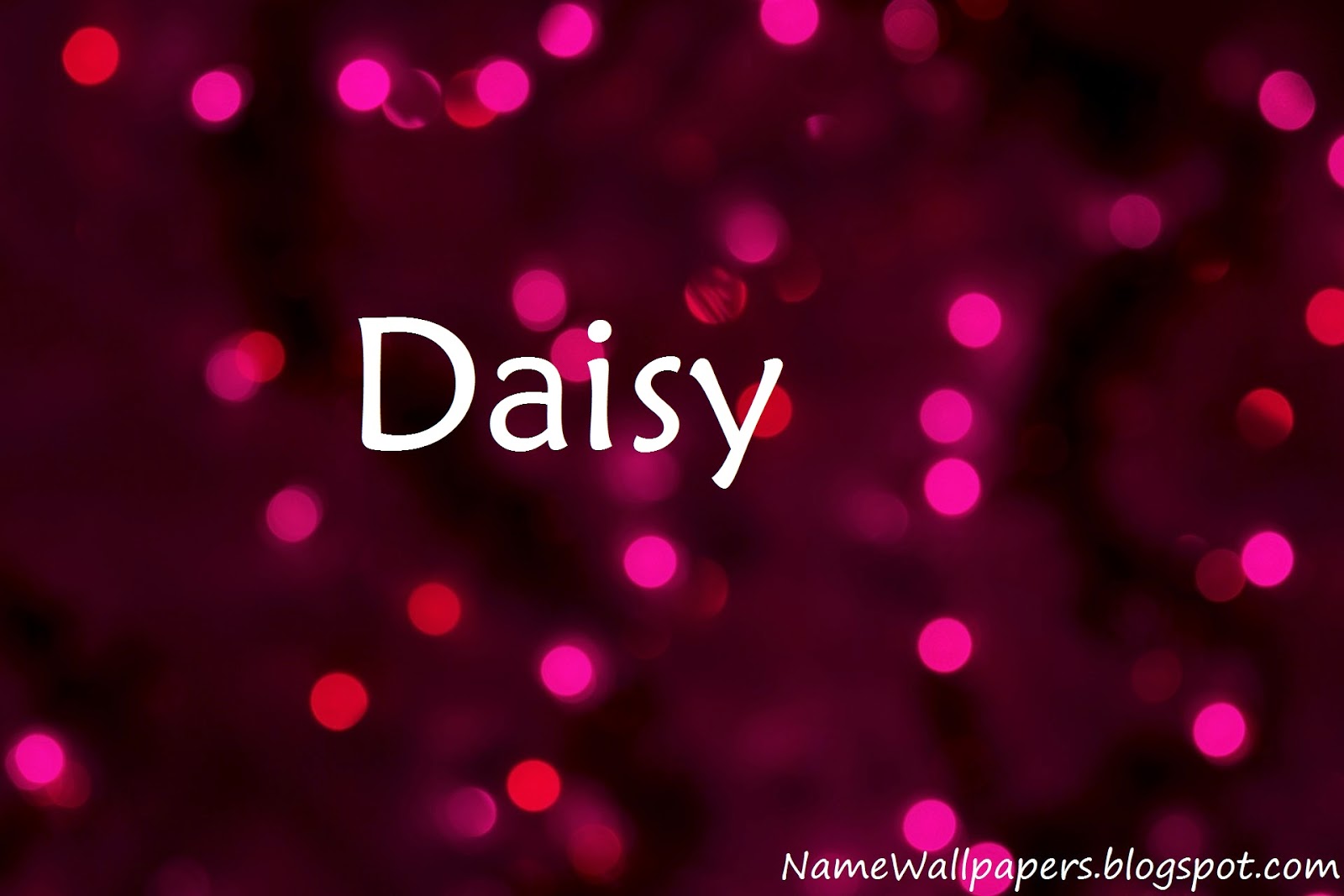Daisy Name Wallpapers Daisy Name Wallpaper Urdu Name Meaning Name