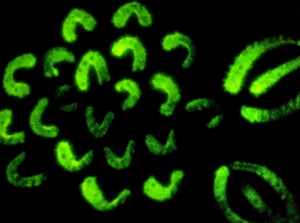 Make glow in the dark paint (using glow sticks) Pink Stripey Socks