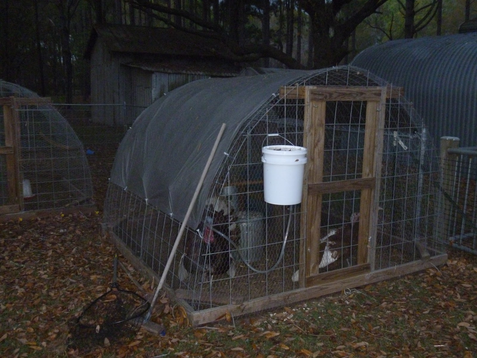 The Corray's Home Poultry hoop houses