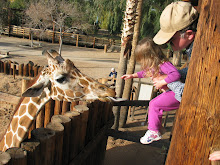 Feeding Bella to a Giraffe
