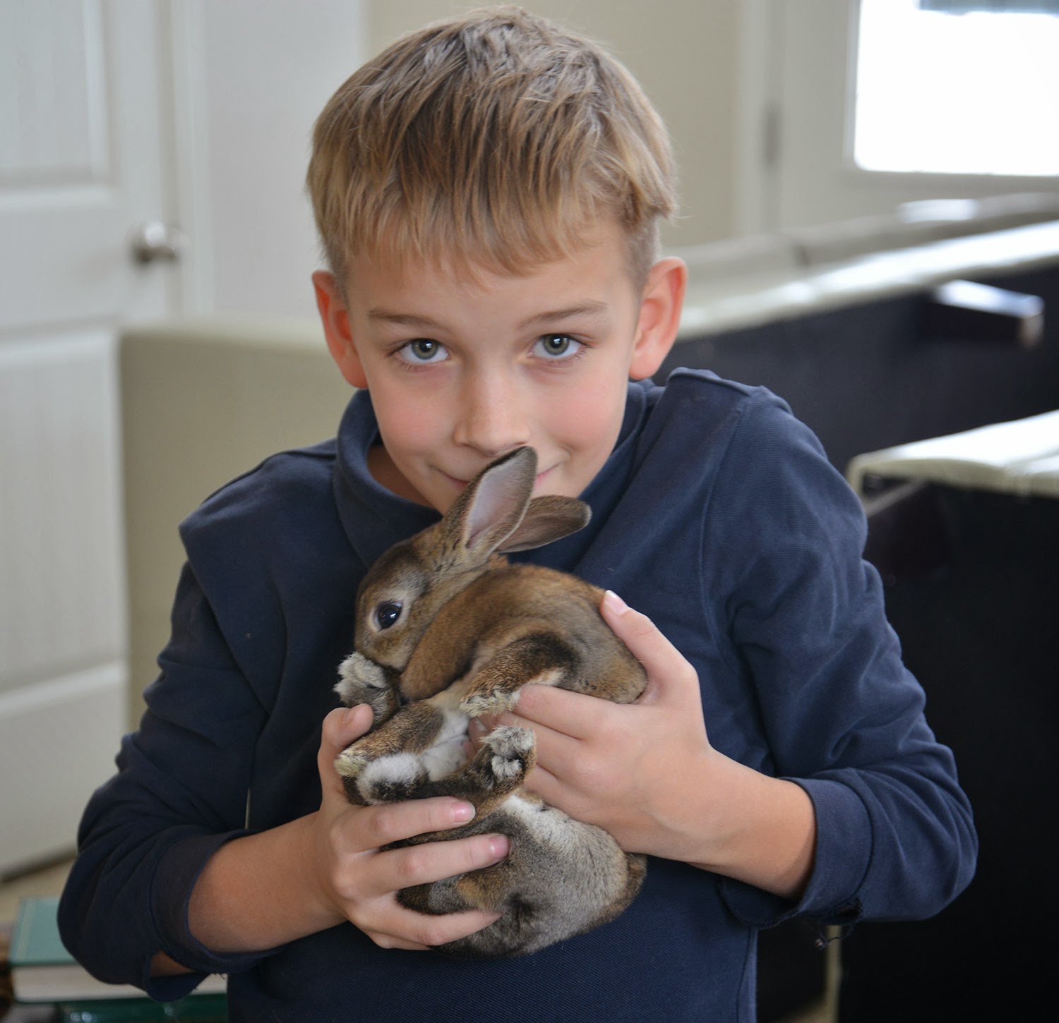 A school of fish Homemade Toys for Bunnies