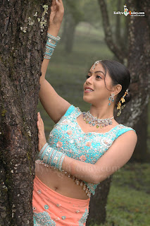 naval show malayalam actress Shamna kasim