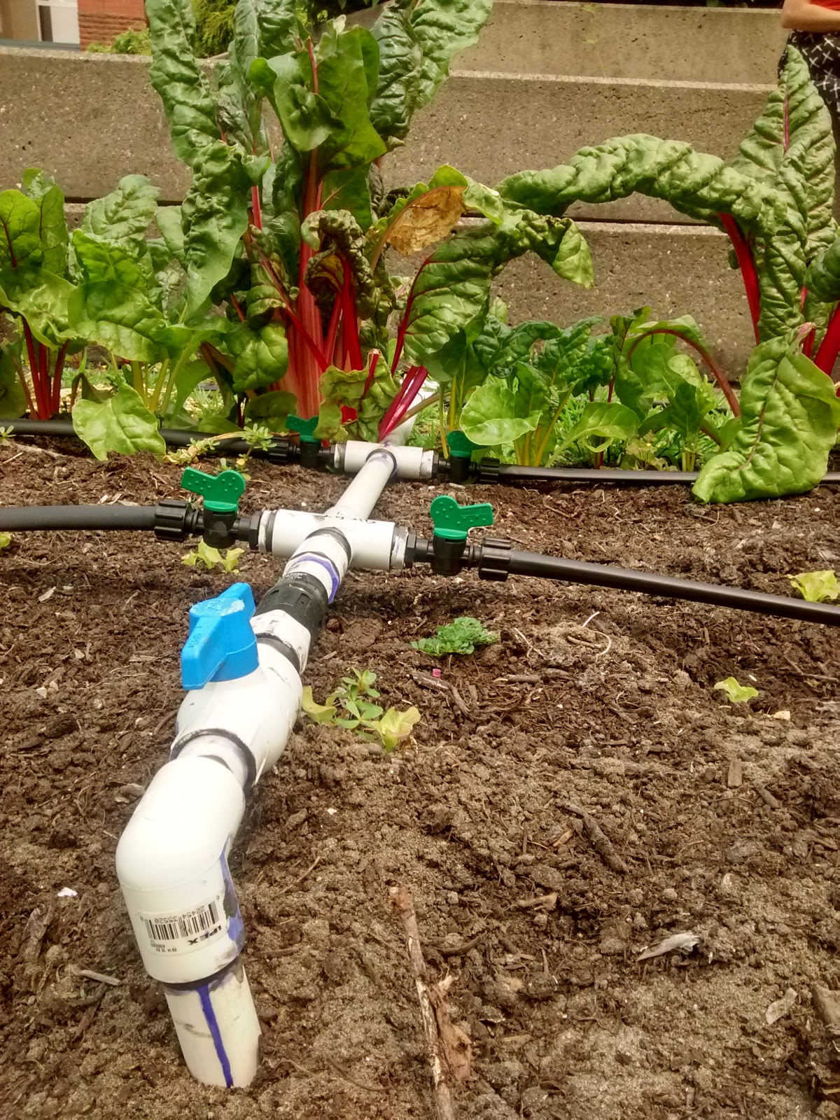 Regenerative Agroecosystems Drip irrigation for water conservation