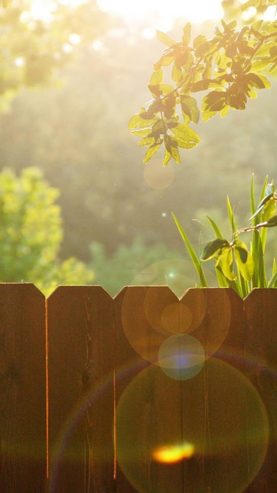 Warm Afternoon Sun   Galaxy Note HD Wallpaper   Warm Afternoon Sun   Galaxy Note HD Wallpaper