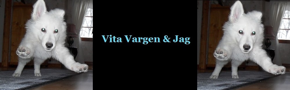 Vita vargen & Jag