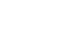 White Lotus Interactive