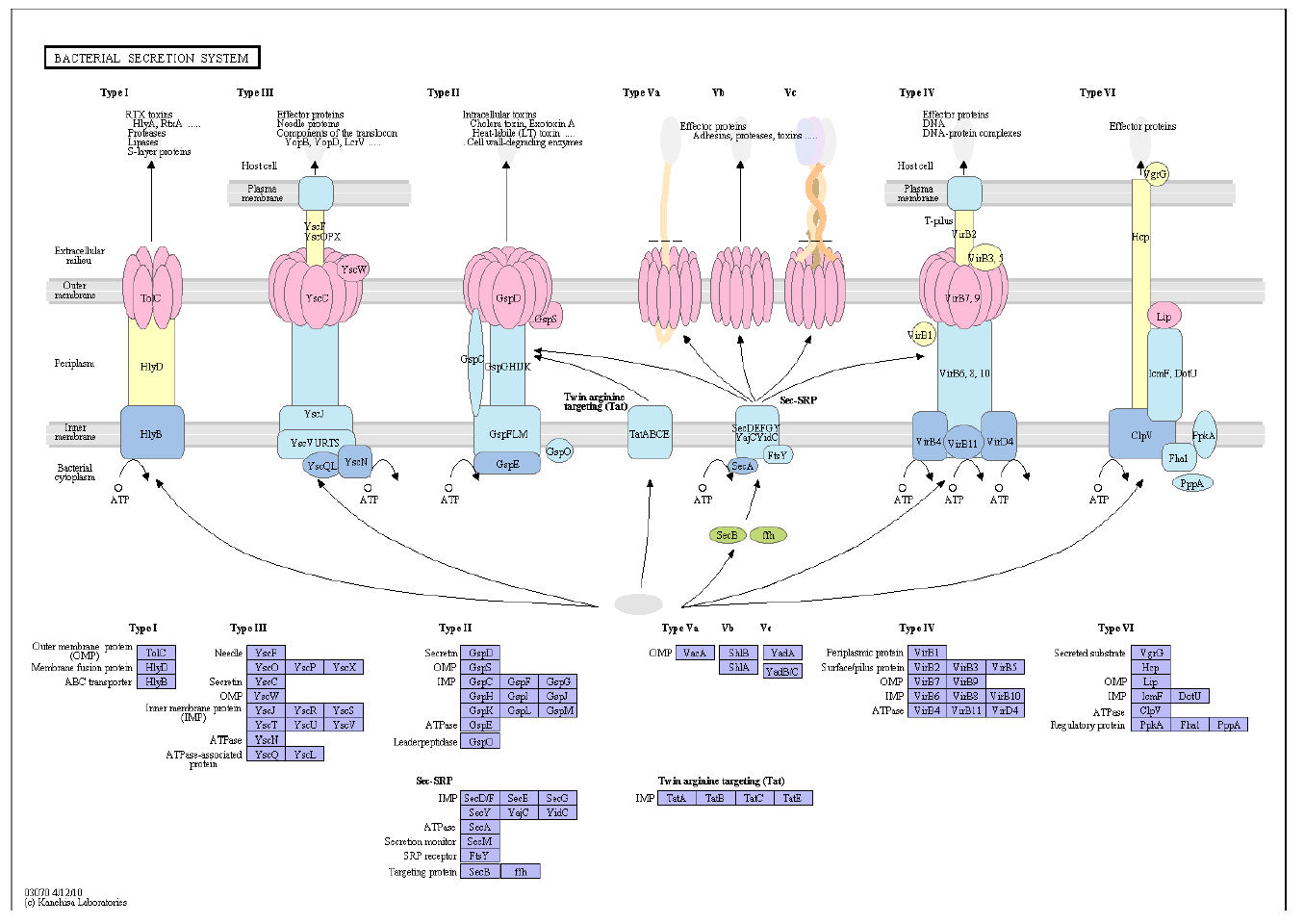 Armchair Biology KEGGWatch, part III