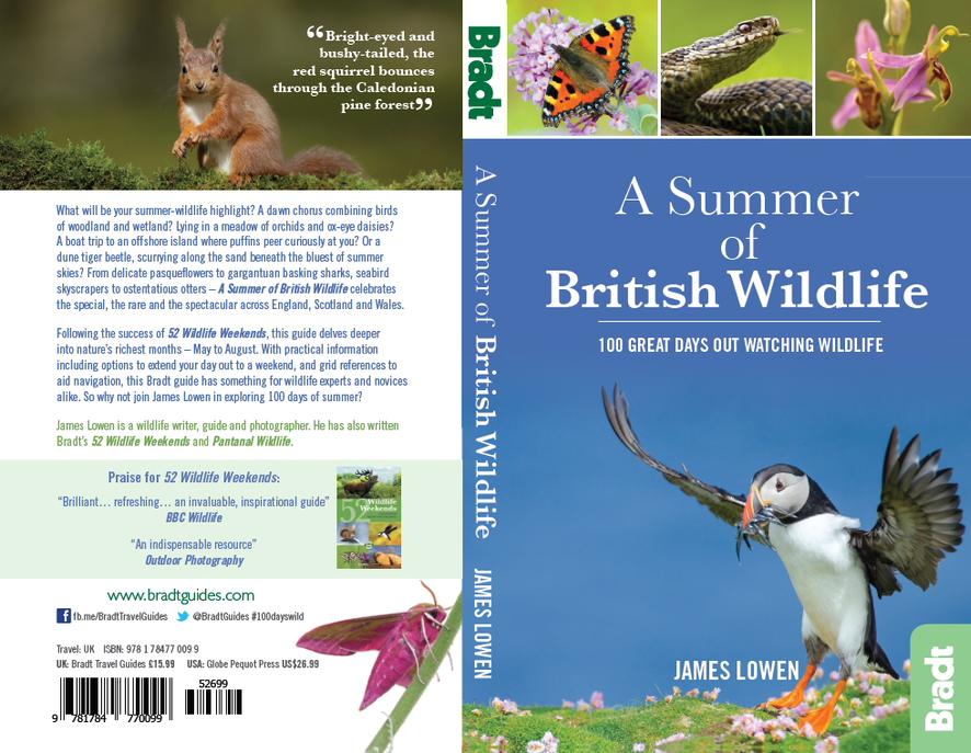 The Curious Naturalist Book review A Summer of British Wildlife by