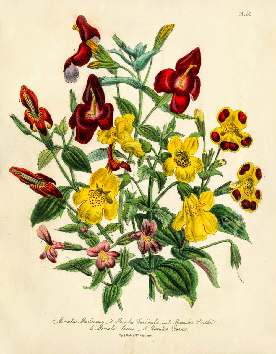 Infotainment @ www.keralites.net Fun & Info @ Keralites.net