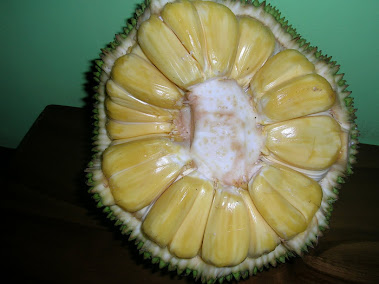 nangka