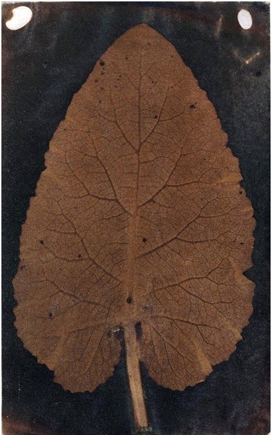 Definition Of Photography Richard Leach Maddox