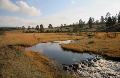 Golden Pines Mountain | Where is Serbia