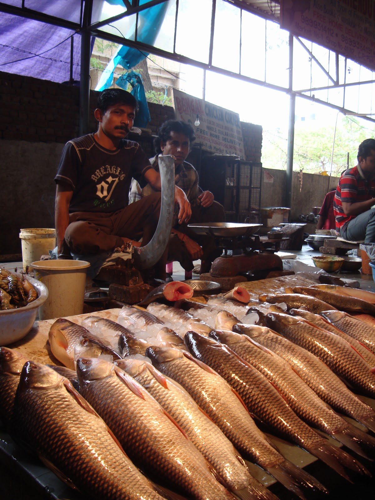 Delhi Magic Delhi's Bengal connection