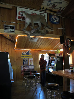 Montana Bar