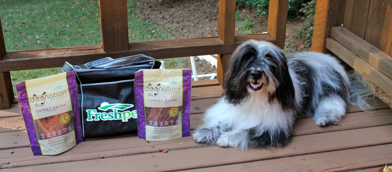 To Dog With Love Love Turkey Bacon? Win New Dog Treats from Freshpet!