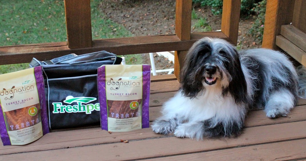 Is Freshpet Good For Dogs Is Freshpet Good For Dogs
