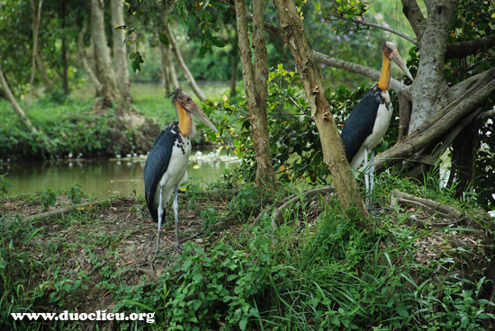 U minh thượng U minh thượng