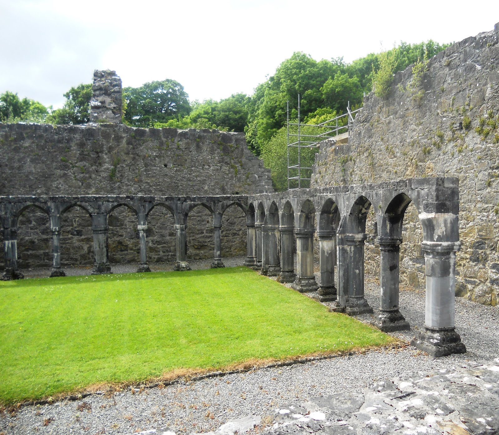 Paddy Callan Portumna