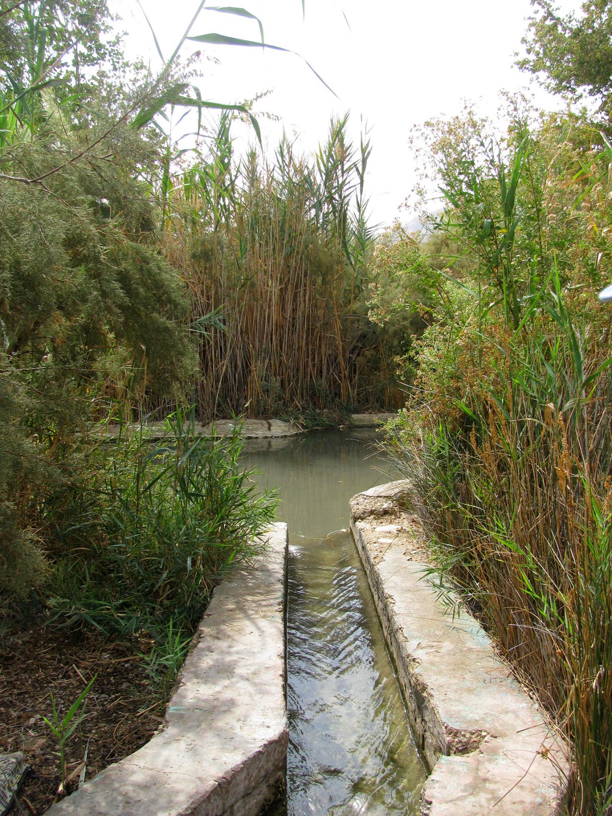 Handmade In Israel Enot Tsukim