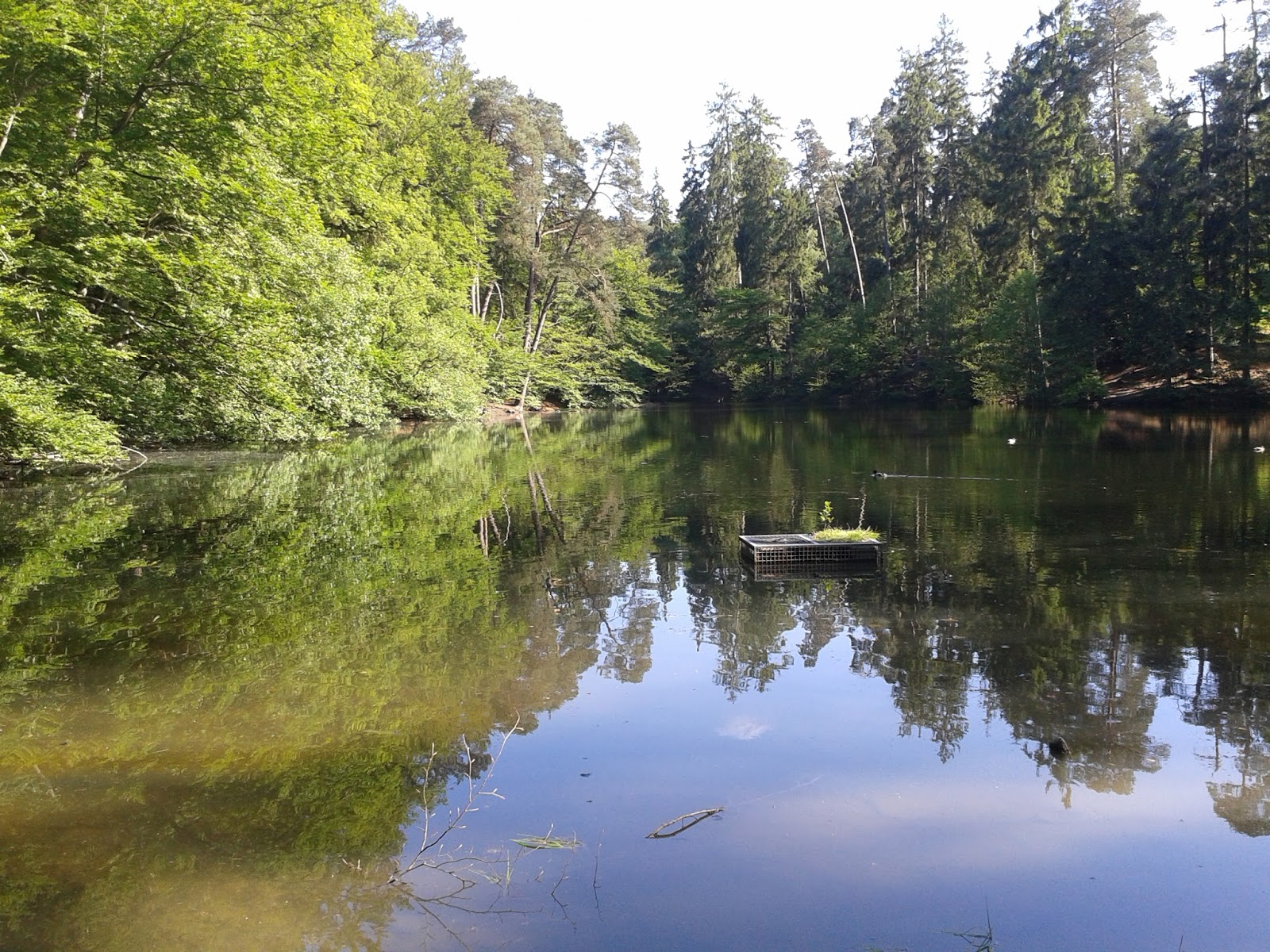 Didaktik Und Methodik Der Gesundheitsforderung Der Blog