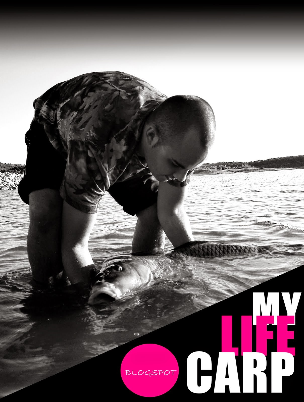 MY LIFE CARP