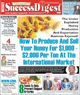 SuccessDigest Papers