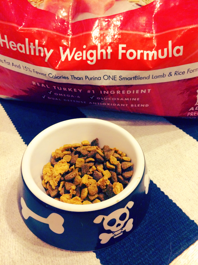 Gee Does The Purina One 28Day Challege Venus Trapped in Mars Dallas