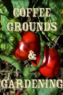 Coffee Makers & More: Coffee Grounds and Gardening