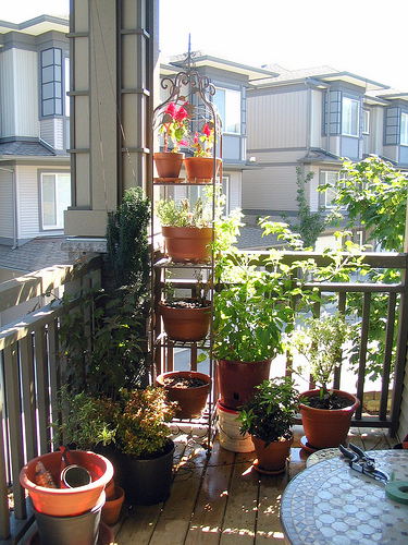 Small Balcony Garden Ideas Small Balcony Garden Ideas